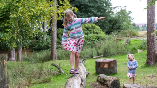 A young girl balancing as she walks along a wide tree branch in woodland
